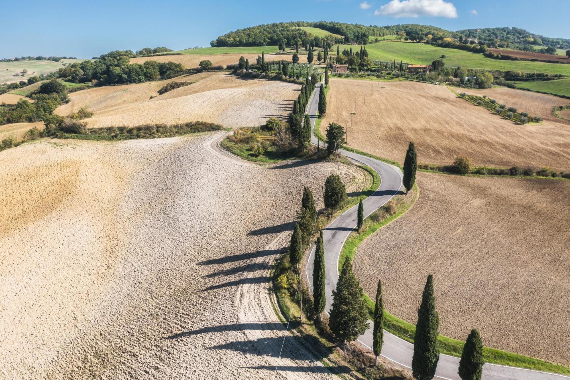 Agriturismo La Casellina 蒙蒂塞切诺 外观 照片